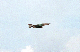 image0141