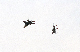 image0144