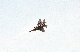 image0147