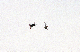 image0149