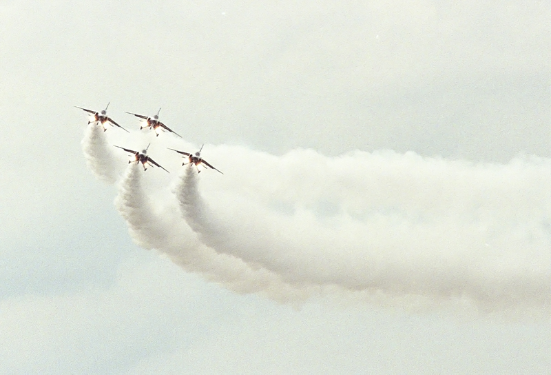 image0205