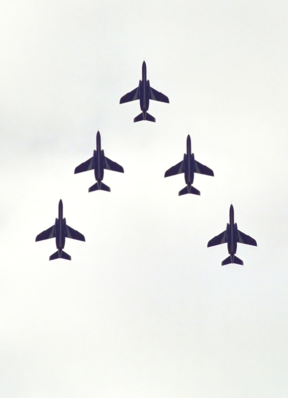 image0230
