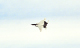 image0160
