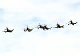 image0179