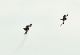 image0187