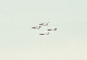 image0203