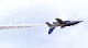image0218