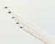 image0220