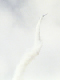 image0232