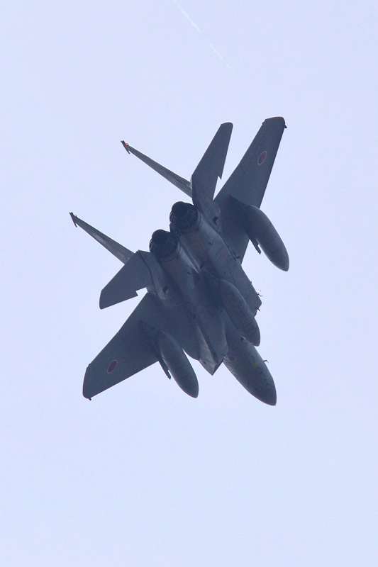 image0608