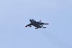 image0212