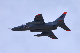 image0222