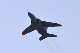 image0281