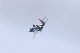 image0588