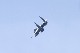 image0611