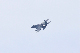 image0614