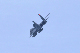 image0795