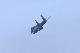 image0796