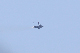 image0133