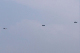 image0141