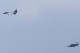 image0147