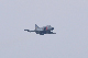 image0288