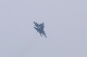 image0342