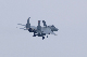 image0368