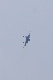 image0377