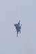 image0379
