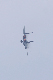 image0391