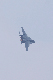image0394