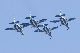 image0425