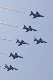 image0447
