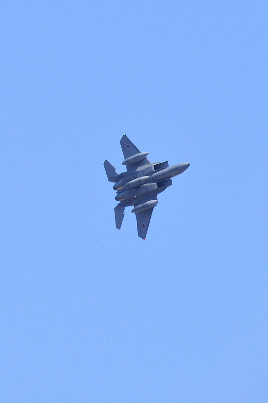 image0117
