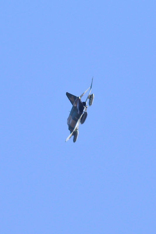 image0609
