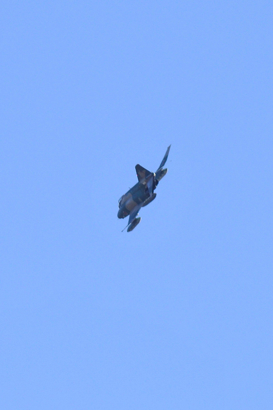 image0610