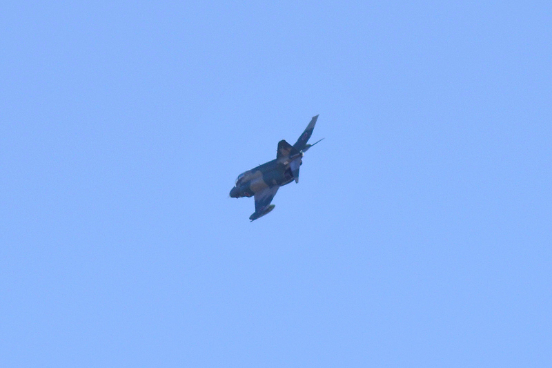 image0611