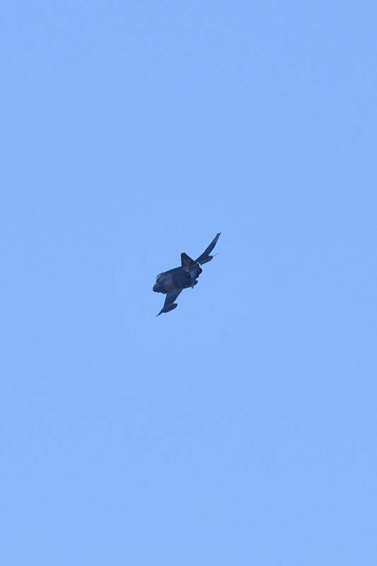 image0747