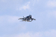 image0244