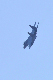image0308