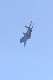 image0350