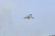 image0504