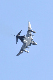 image0564