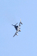 image0566
