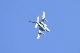 image0581