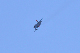 image0586