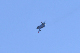 image0587