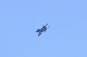 image0588