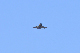 image0589